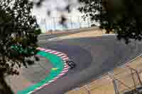 Laguna-Seca;event-digital-images;motorbikes;no-limits;peter-wileman-photography;trackday;trackday-digital-images